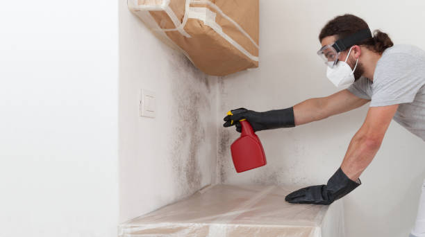 Professional Commercial Mold Remediation technician working in Clinton, MI