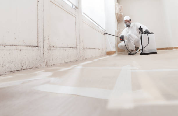 24/7 Emergency Commercial Mold Remediation experts in Clinton, MI