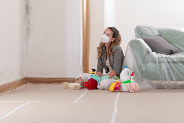 Reliable Commercial Mold Remediation contractor in Clinton, MI by Mold Remediation HQ